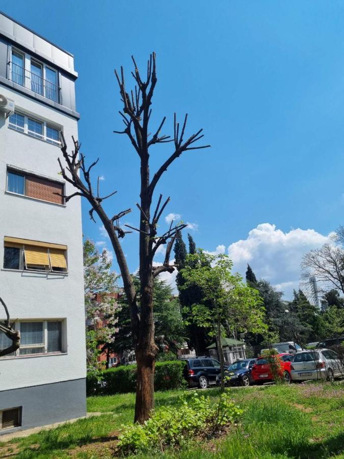 Atelje Apartment Podgorica Exterior photo